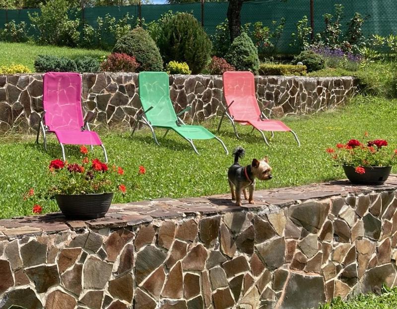 Vila Marko Nová Lesná Exteriör bild